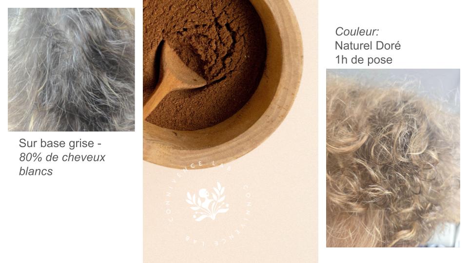 Coloration Végétale Naturel Doré