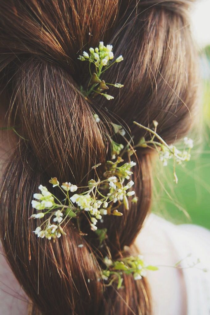 Image FAQ L'Excellence du Végétal, La Science du Soin.