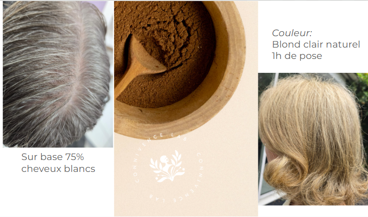 Coloration Végétale Blond Clair Naturel